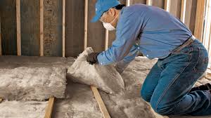 Best Eco-Friendly or Green Insulation Solutions in USA